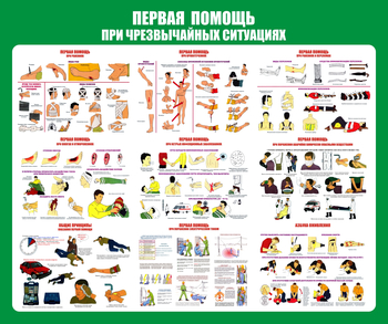С20-1 Стенд Оказание первой помощи при ЧС (670х800 мм, пластик ПВХ 3 мм, алюминиевый багет серебряного цвета) - Стенды - Стенды по первой медицинской помощи - . Магазин Znakstend.ru